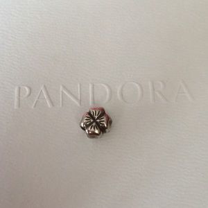 Pandora lucky charm